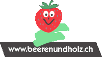 beerenundholz logo